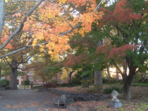 Image of patio behind Benton Museum in autumn.