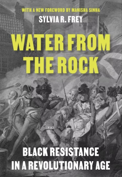 black and white image of revolutionary figures struggling, with book title and author's name overlaid in contrasting white and yellow text